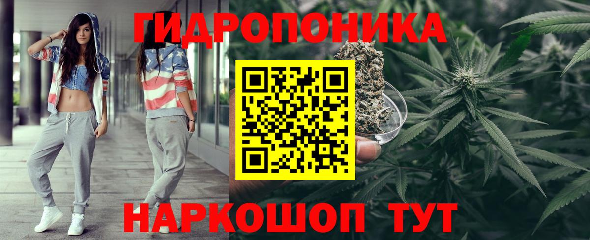 Конопля SATIVA & INDICA  Вход с VPN  Бошки марихуана марихуана  Марихуана Amnesia  Салехард  Конопля гибрид 